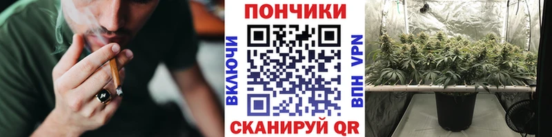 где купить   Губкинский  Бошки марихуана White Widow 